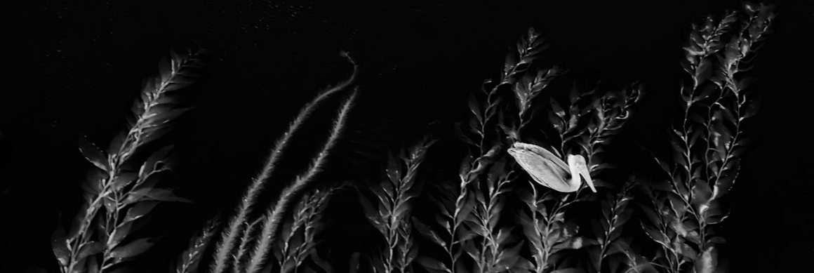 Contact-Page_Header Contact-Page_Header